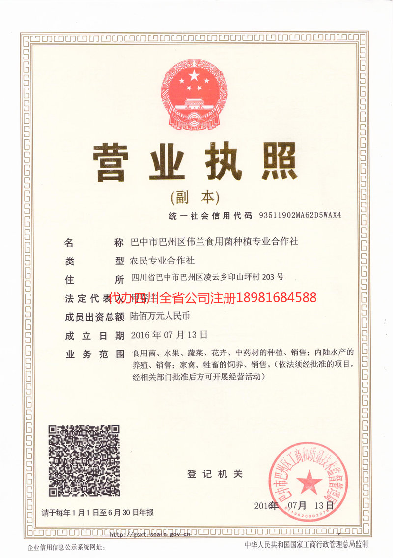 濮阳濮阳伟兰食用菌种植专业合作社